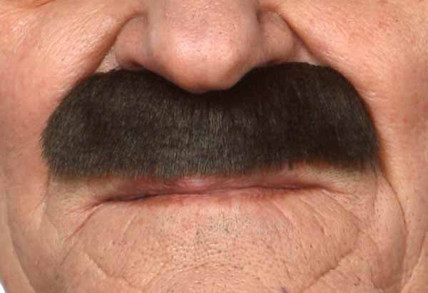 Thick Classic Moustache