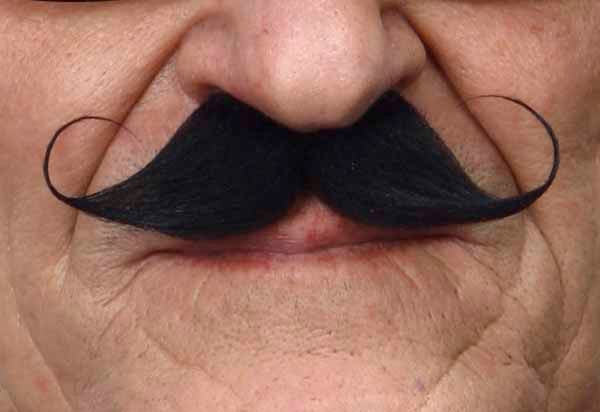 Classic Curved Moustache