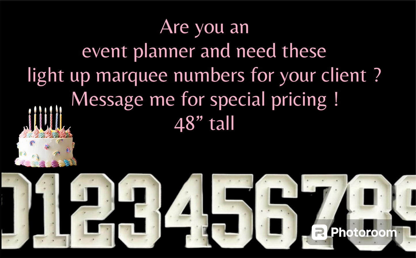 Light Up Numbers - Free Standing
