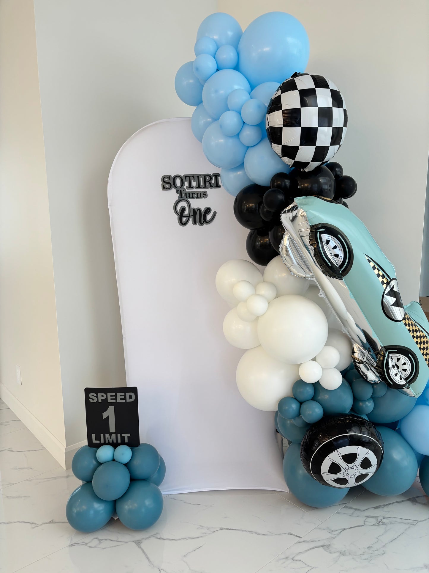 Balloon Garland and Backdrop