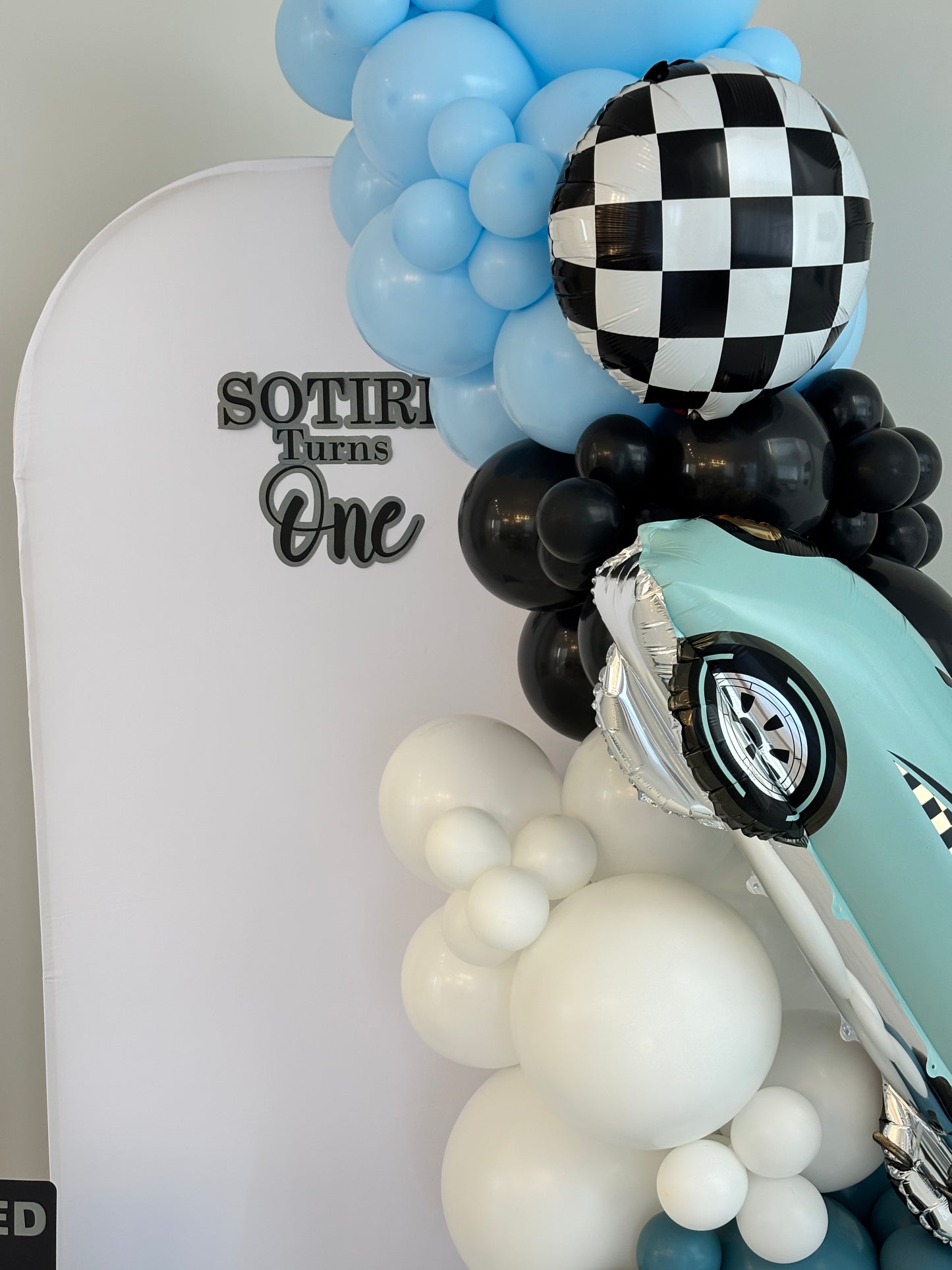 Balloon Garland and Backdrop