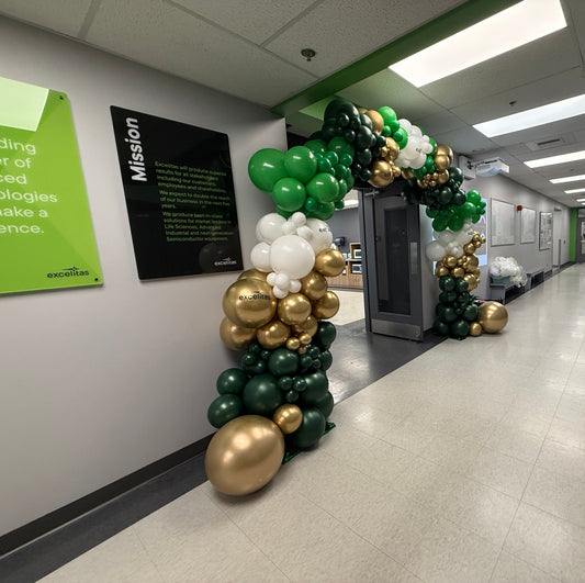 Arche de ballons de luxe