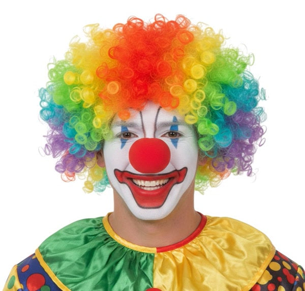 RAINBOW CLOWN AFRO