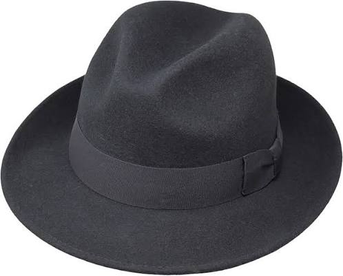 Swift Fedora Hat