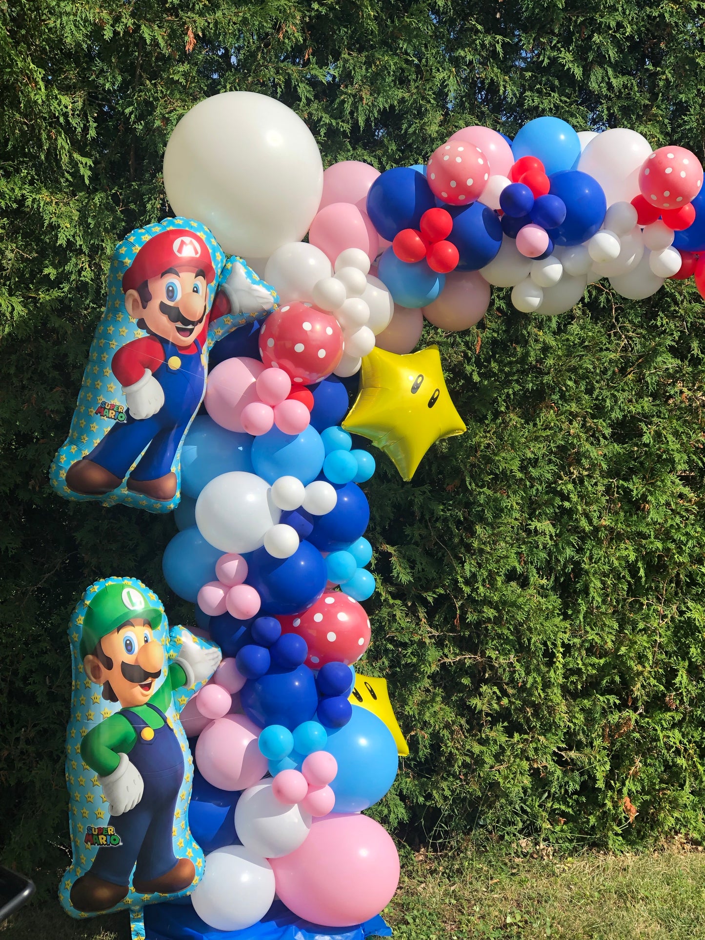 Balloon garland Demi Arch