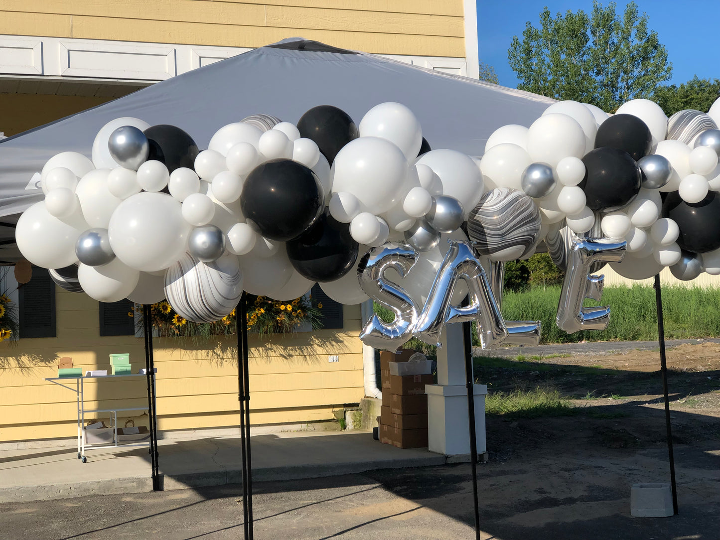 Balloon Garland