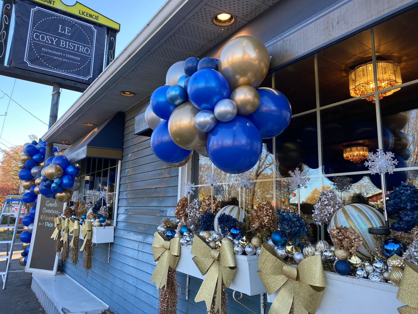 Balloon Garland