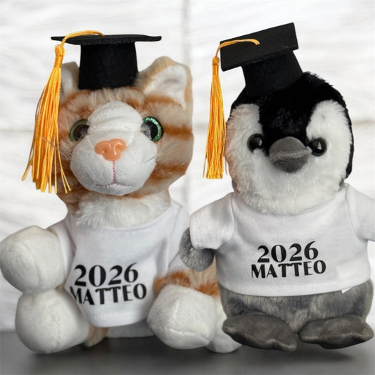 Potes de remise de diplôme