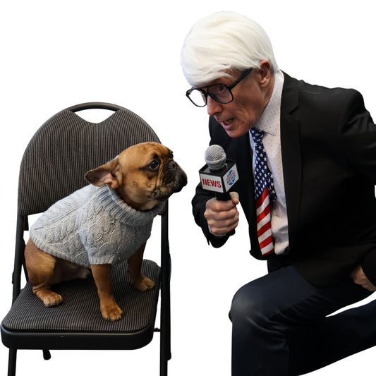 News Anchor Microphone