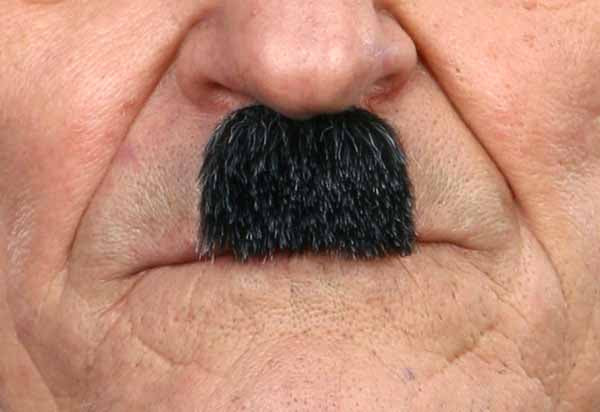 Small Character Moustache