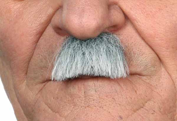 Small Character Moustache