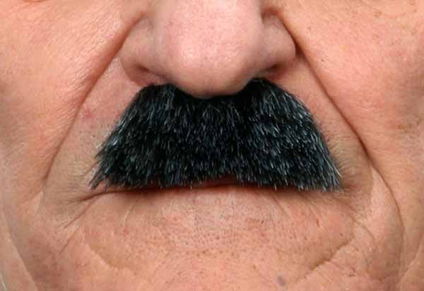 Small Character Moustache