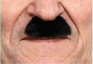 Small Character Moustache