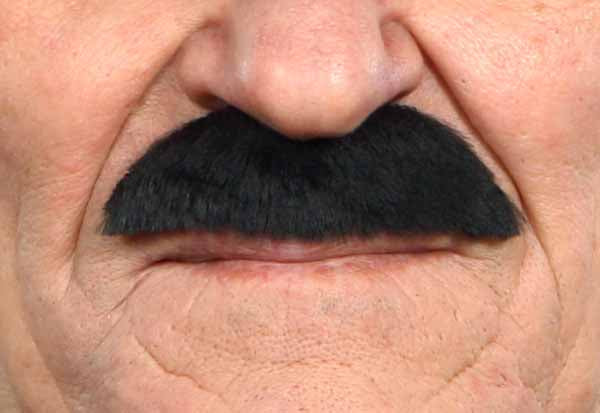 Classic Short Moustache