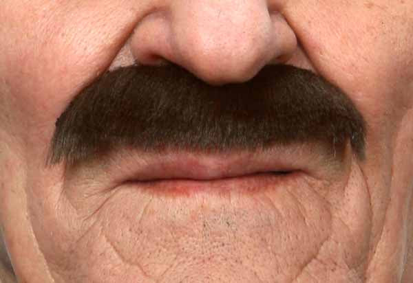 Bushy Long Moustache