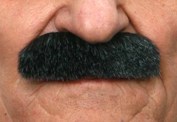 Thick Classic Moustache