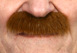 Bushy Full Moustache