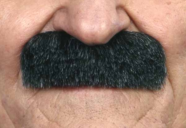Bushy Full Moustache