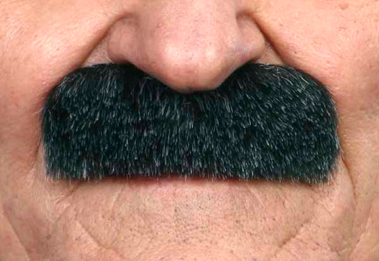 Moustache épaisse et fournie