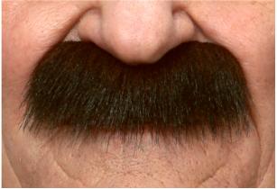 Bushy Full Moustache