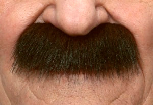 Bushy Full Moustache
