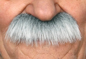 Bushy Full Moustache