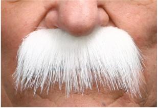 Bushy Full Moustache