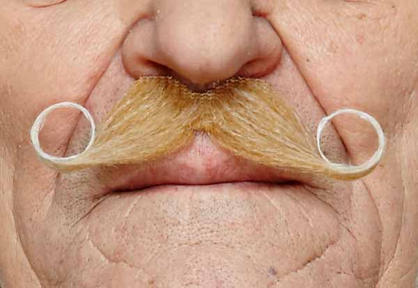 Classic Curved Moustache