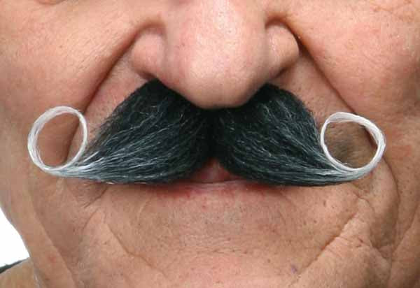 Classic Curved Moustache