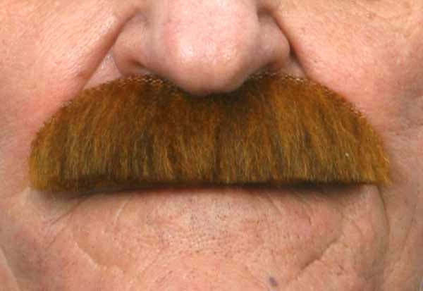Thick Costume Moustache