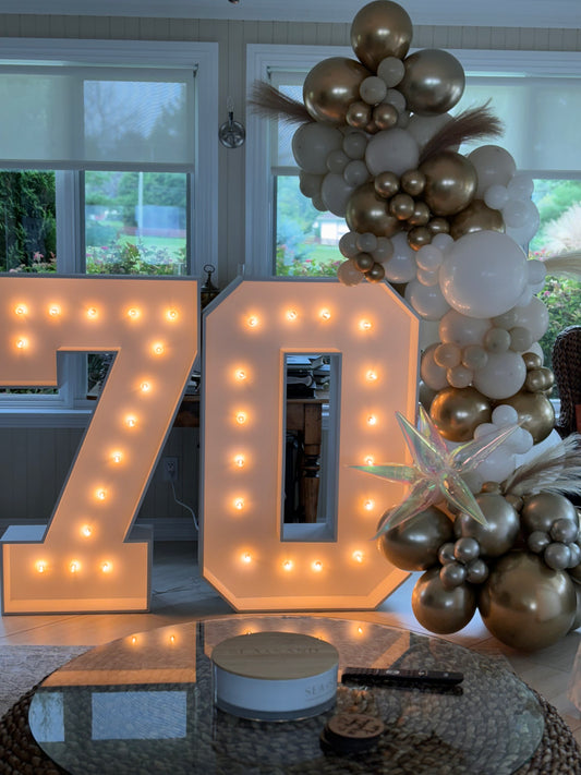 Light Up Numbers - Free Standing