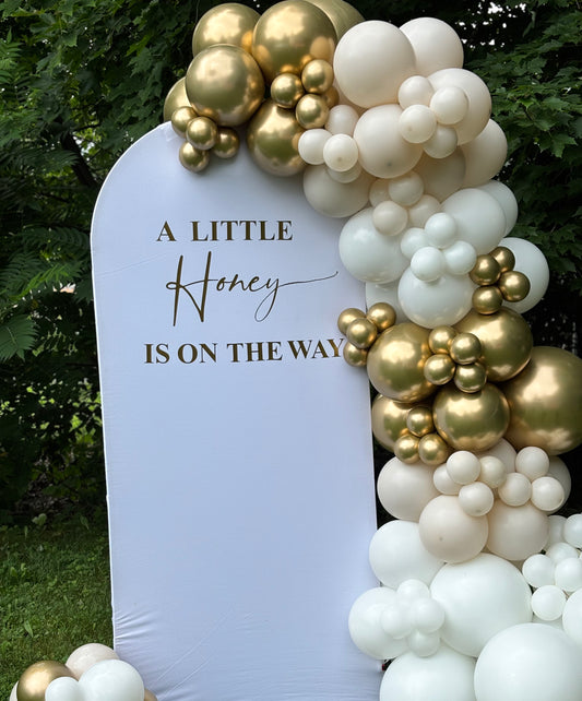 Balloon Garland and Backdrop