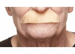 Thick Costume Moustache