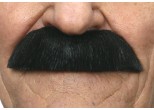 Thick Costume Moustache
