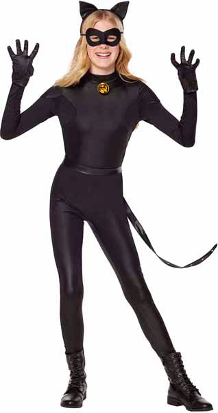 Chat Noir