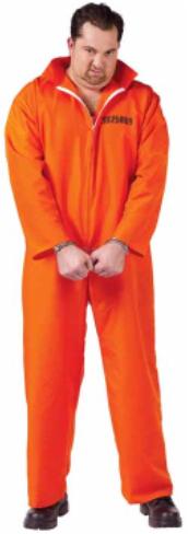 Got Busted Plus Size Costume