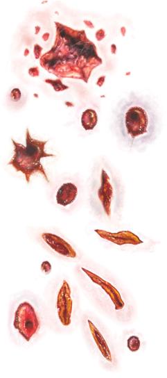 TRAUMA TEMPORARY TATTOOS
